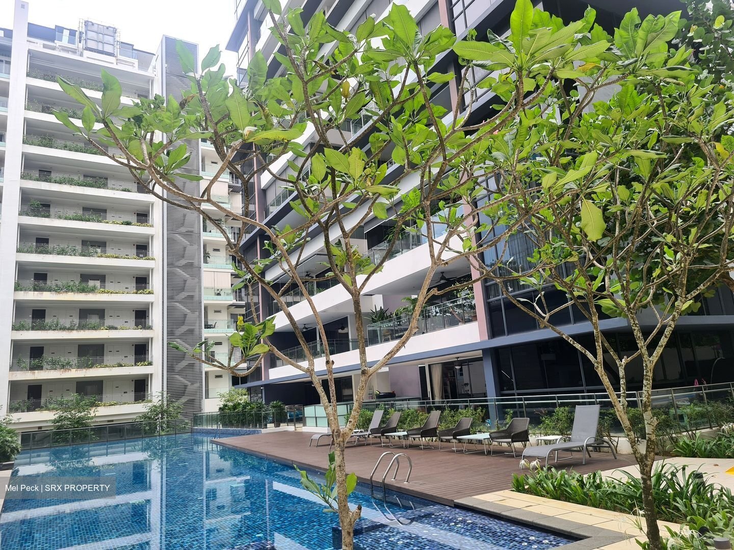 Treasure On Balmoral (D10), Apartment #456253211